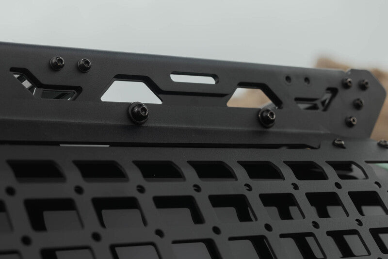 DV8 25-26 Toyota 4Runner Exterior Window Molle for DV8 Roof Rack - Driver