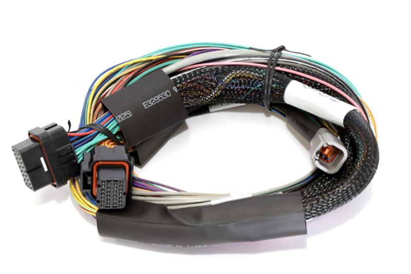 Haltech Elite 2500 8ft Basic Universal Wire-In Harness (Excl Relays or Fuses) - Order Your Parts - اطلب قطعك